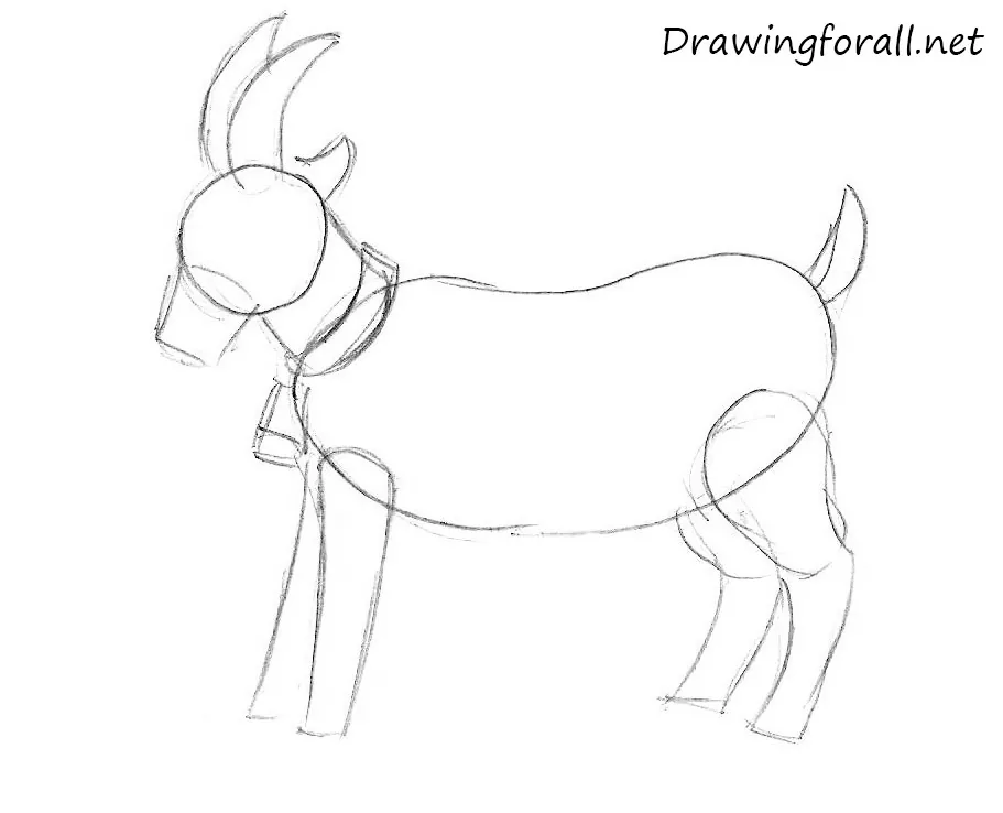 How to draw a goat step by step