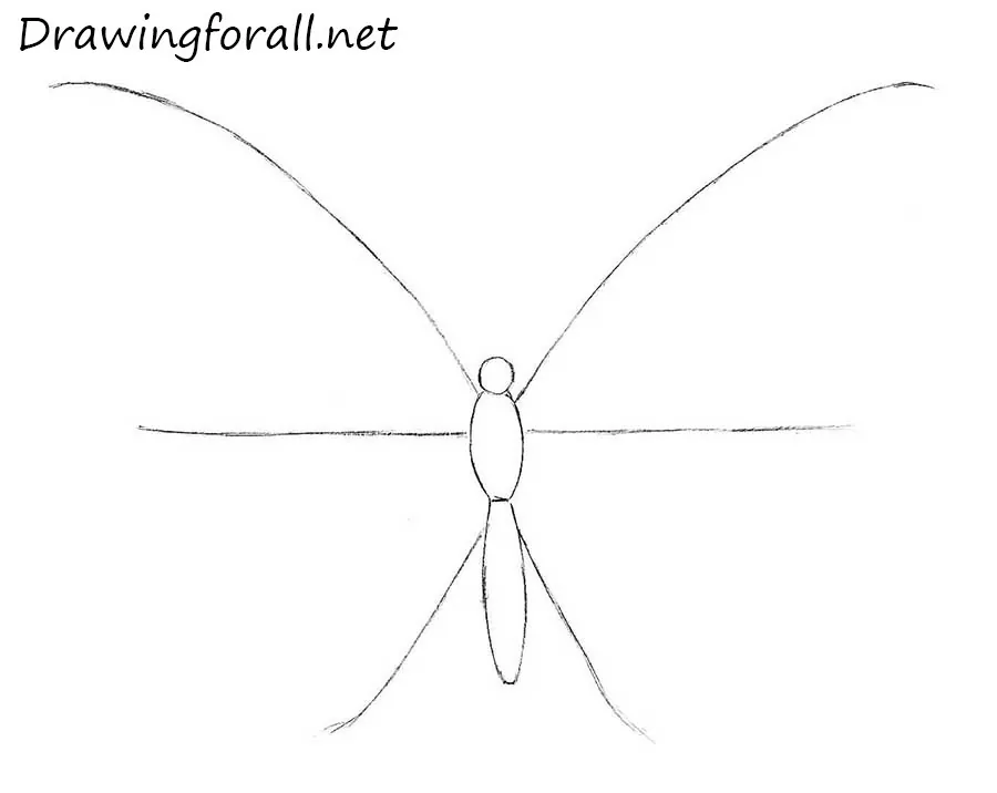 how to draw a butterfly step by step