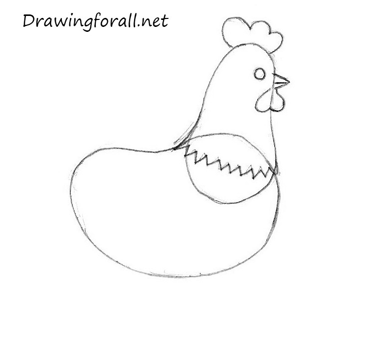 how to draw a chickern for beginners