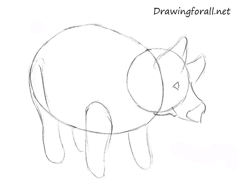 how to draw a pig for beginners