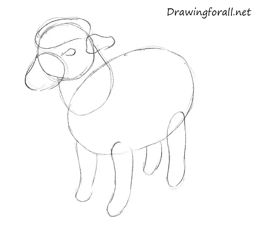 how to draw a sheep for kids