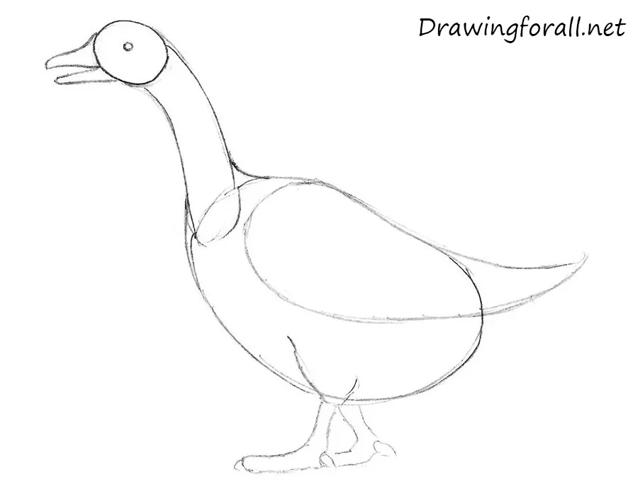 How to Draw a Goose for children