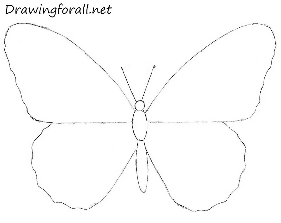 how to draw a butterfly with a pincil