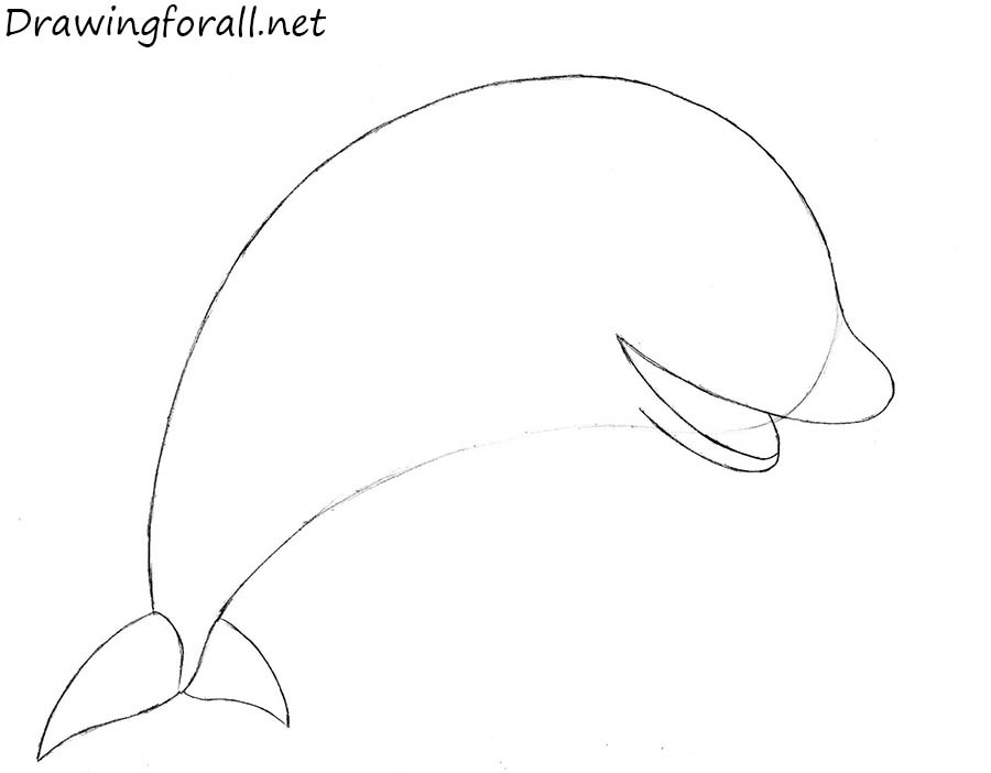 how to draw a dolphin for children