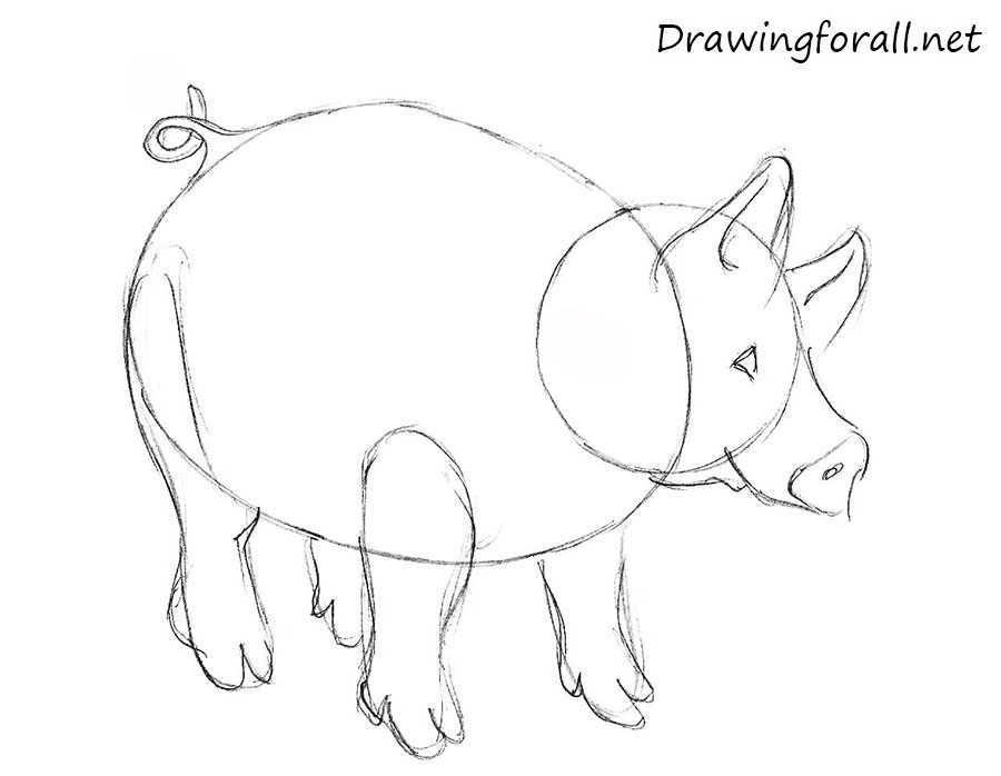 how to draw a pig for kids