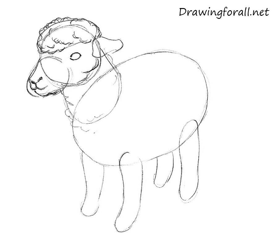 how to draw a sheep for children