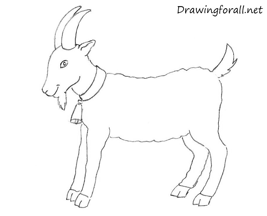 How to draw a goat for kids