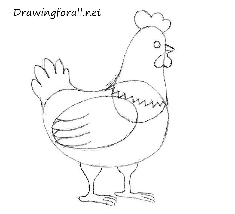 how to draw a chickern easy