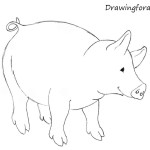 How to Draw a Pig for Kids
