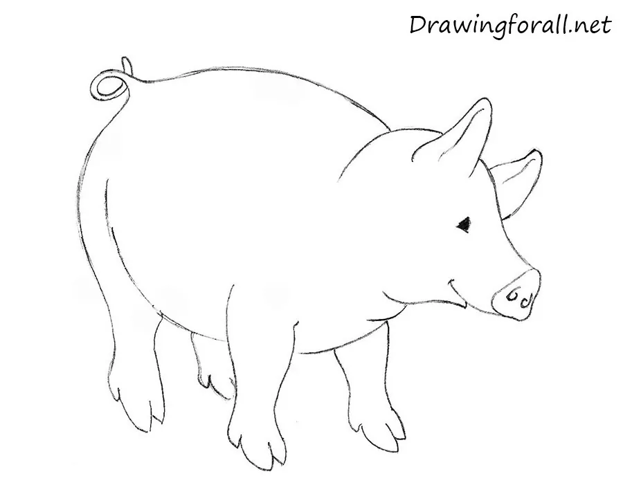 how to draw a pig for children