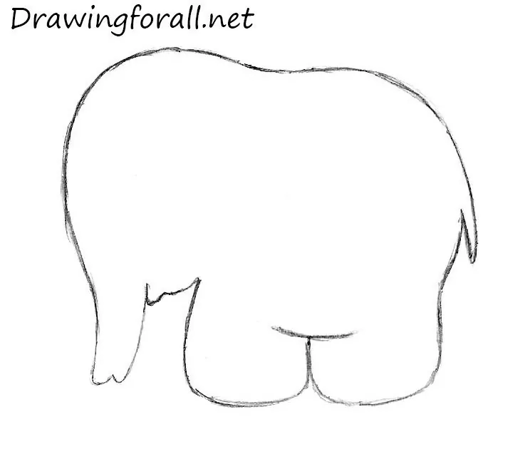 How to draw an enephant step by step