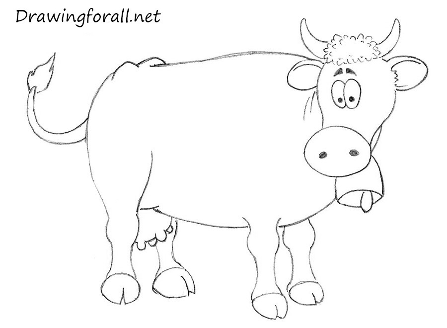 how to draw a cow easy