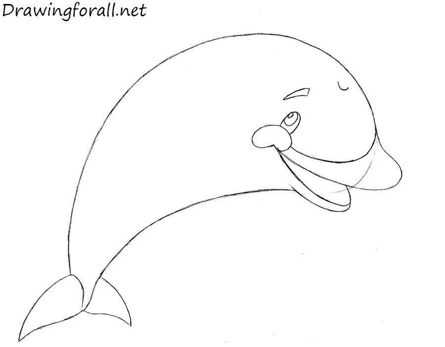 how to draw a dolphin step by step