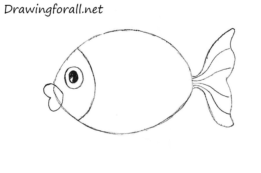 outline drawings of fish