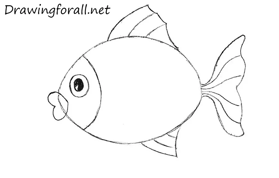 how to draw a fish easy