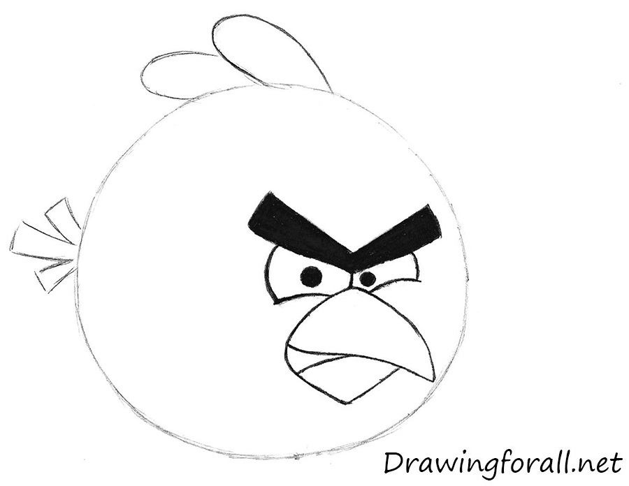 drawing angry birds