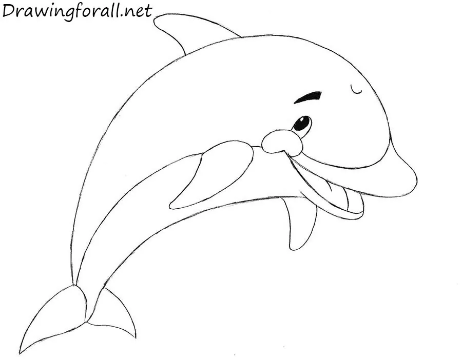 How to Draw a Dolphin for Kids