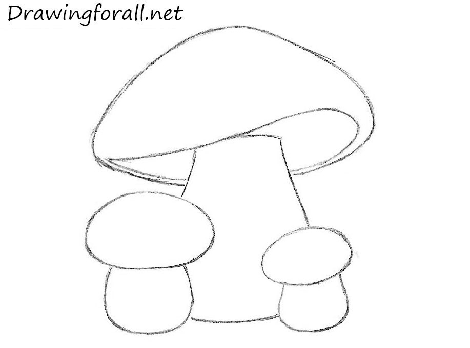 how to draw mushrooms for beginners