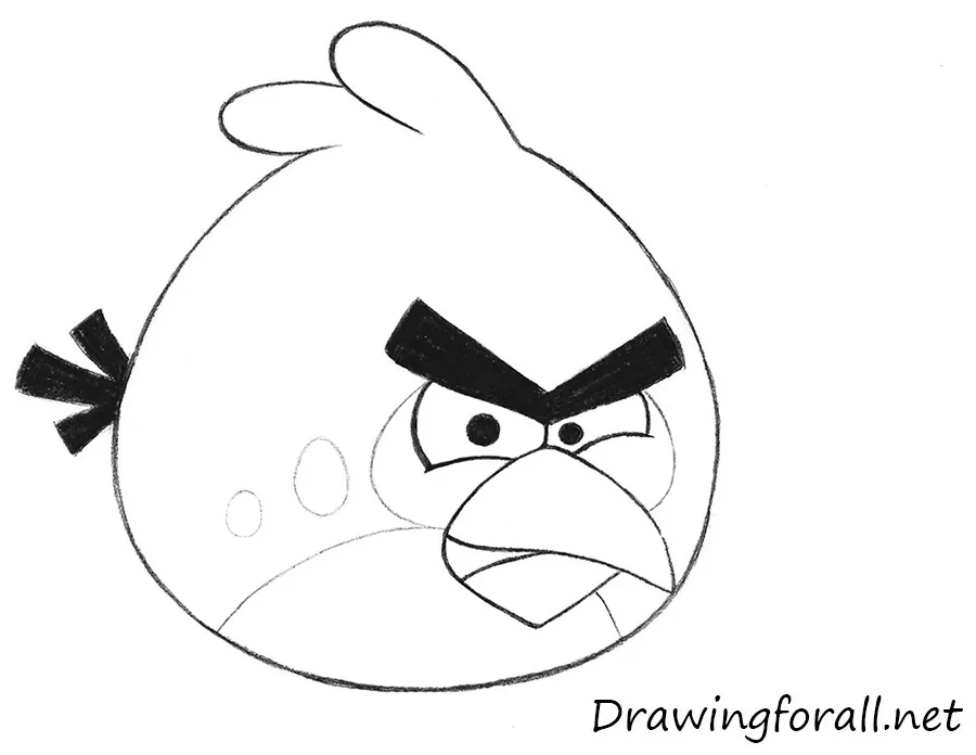 How to Draw Red Bird from Angry Birds