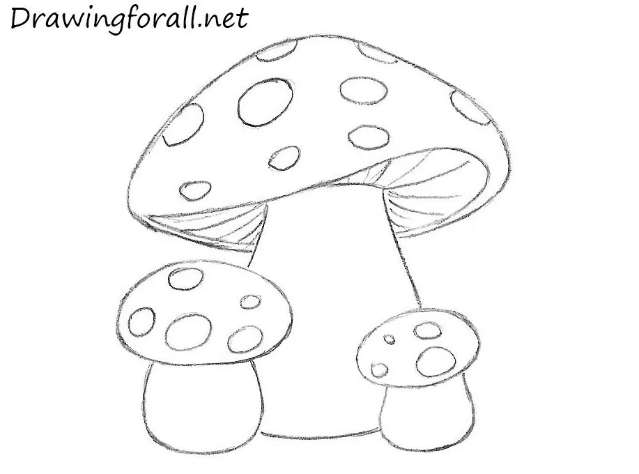 how to draw mushrooms for kids