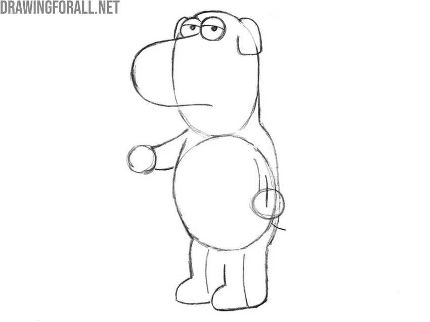 Add volume to the dog’s body