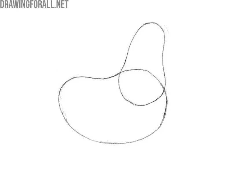 Add the chicken’s neck and head