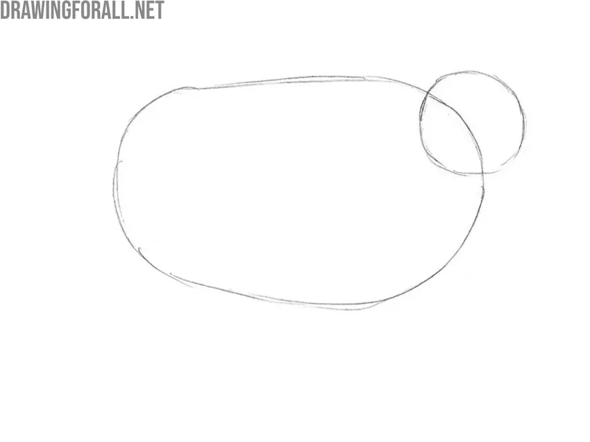 Sketch the cartoon head circle