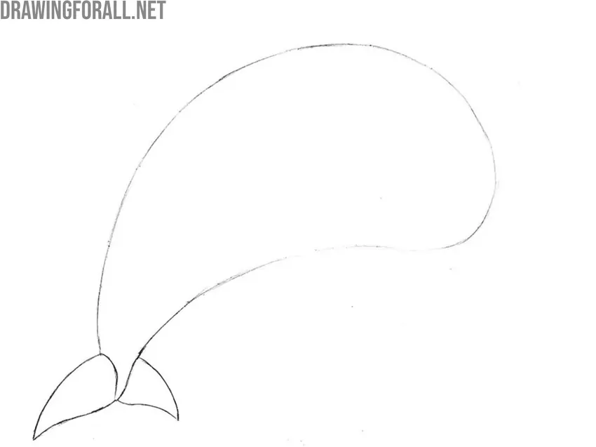 Draw the cartoon dolphin tail fins