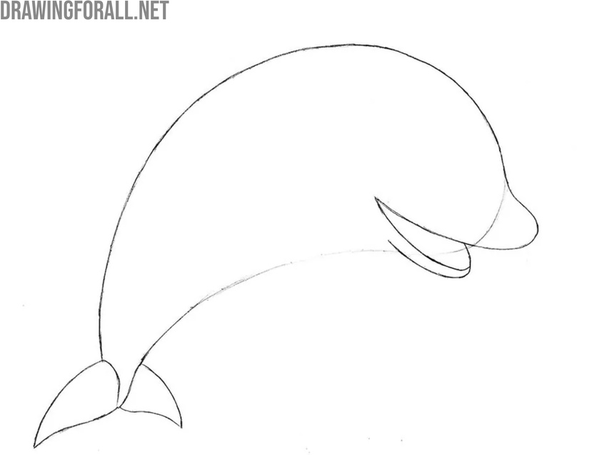 Sketch the snout and smile