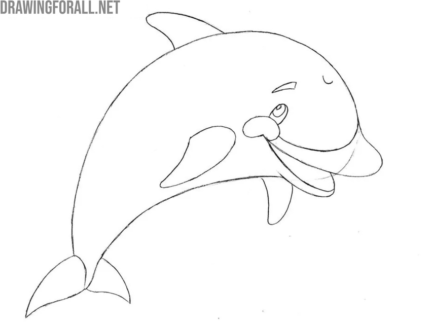 Draw the dorsal and pectoral fins