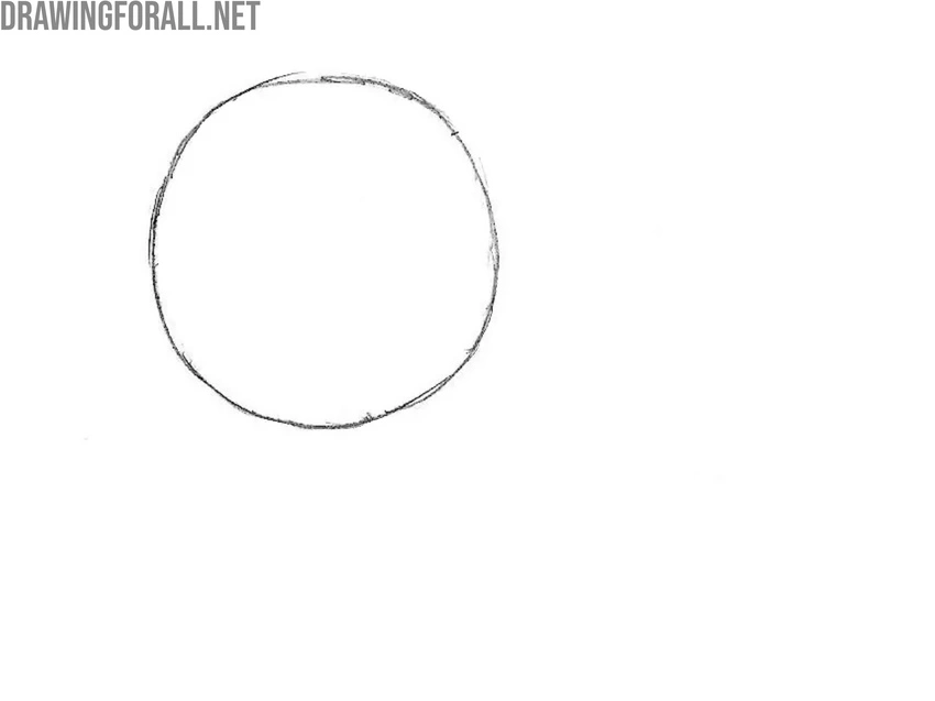 Outline the animal’s head shape