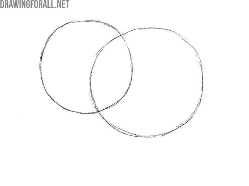 Draw the torso of the cartoon elephant