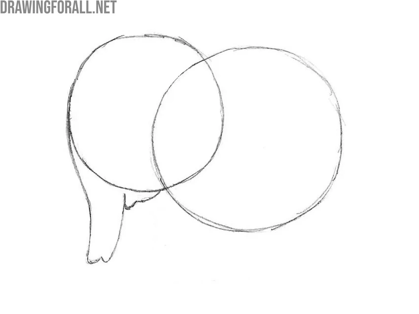 Sketch the trunk and smile