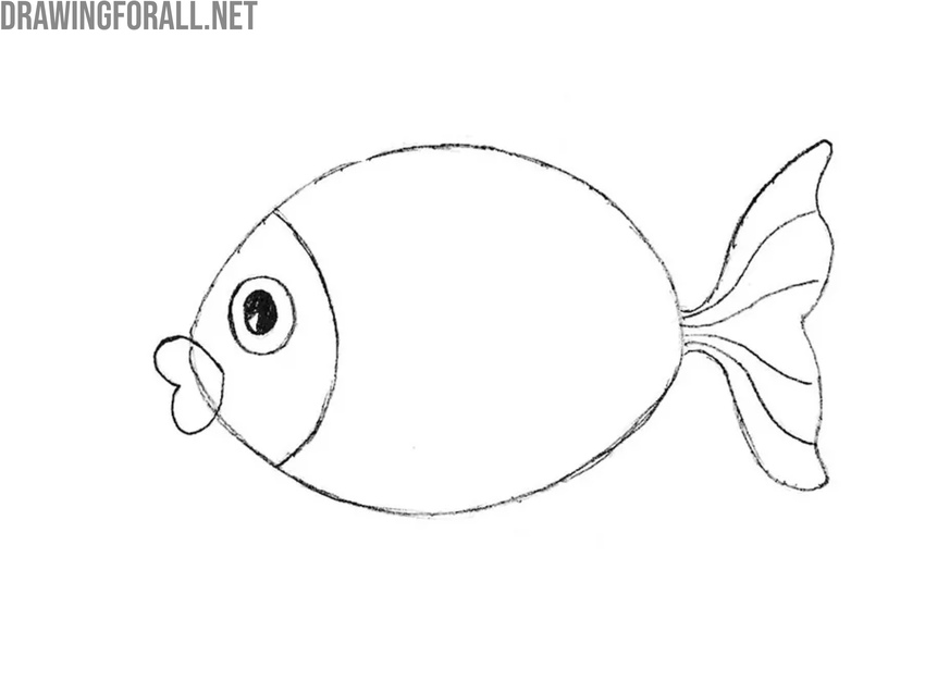 Sketch the simplified tail fin