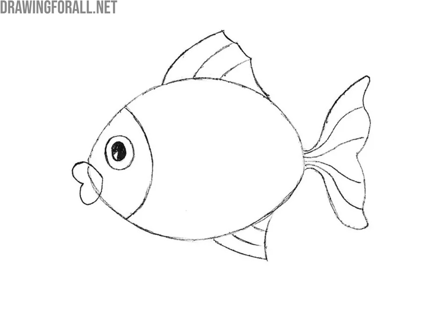 Add the top and bottom fins