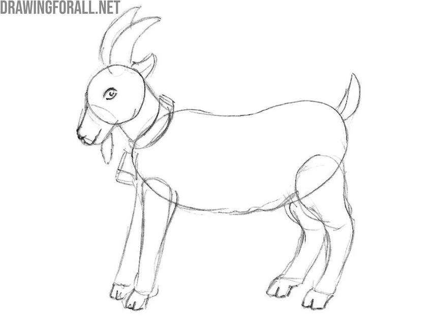 Sketch the hooves on the legs