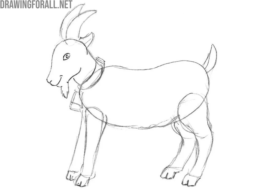 Trace and detail the eye and muzzle