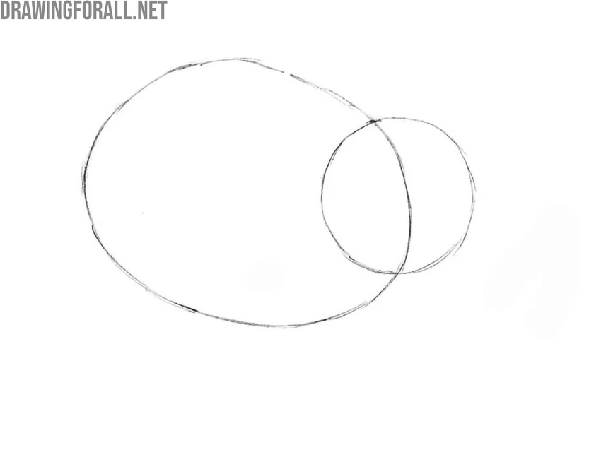 Draw the head of the cartoon pig