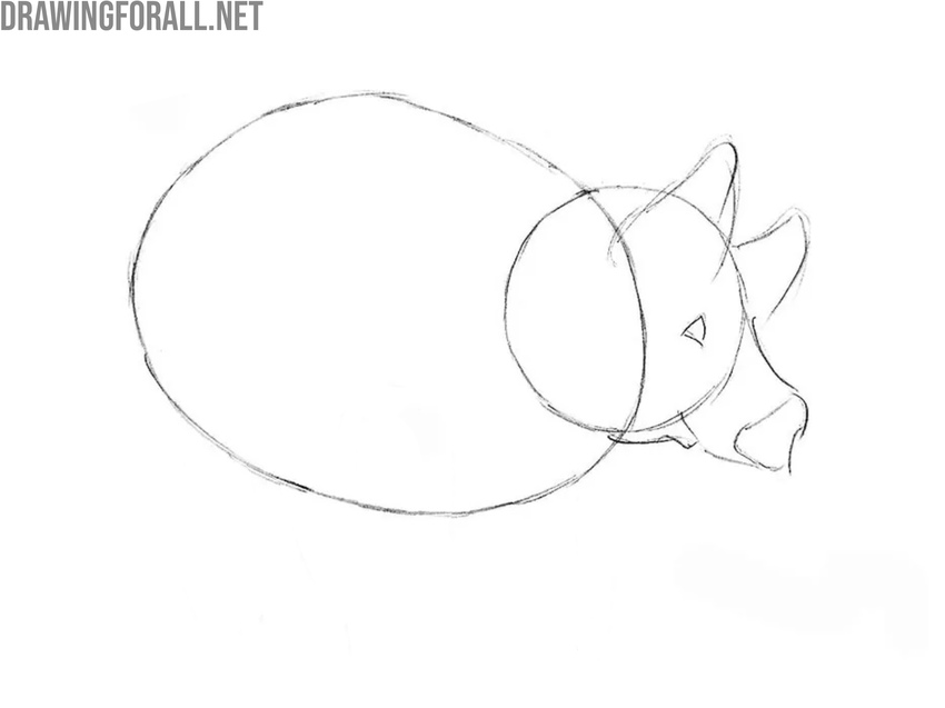 Add the pig’s face and main features