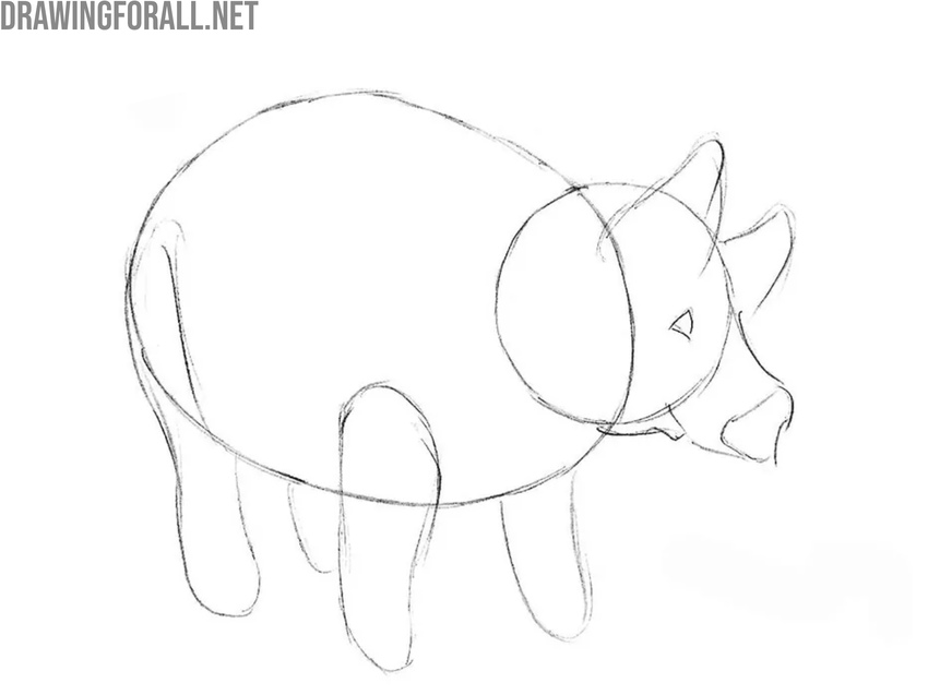 Sketch the front and hind legs