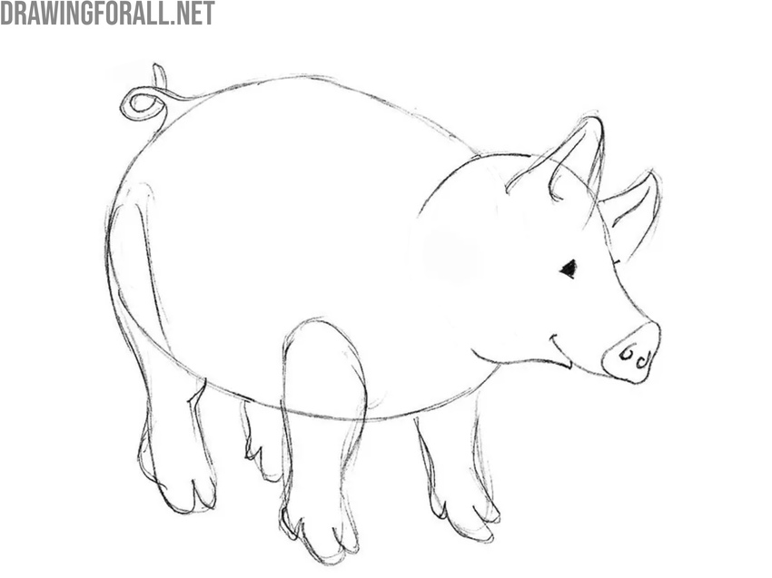 Outline and refine the cartoon pig’s face