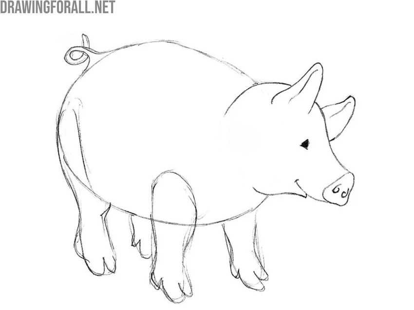 Draw the cartoon pig ears in detail