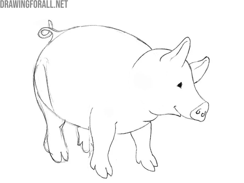 Add neck folds and trace the front legs