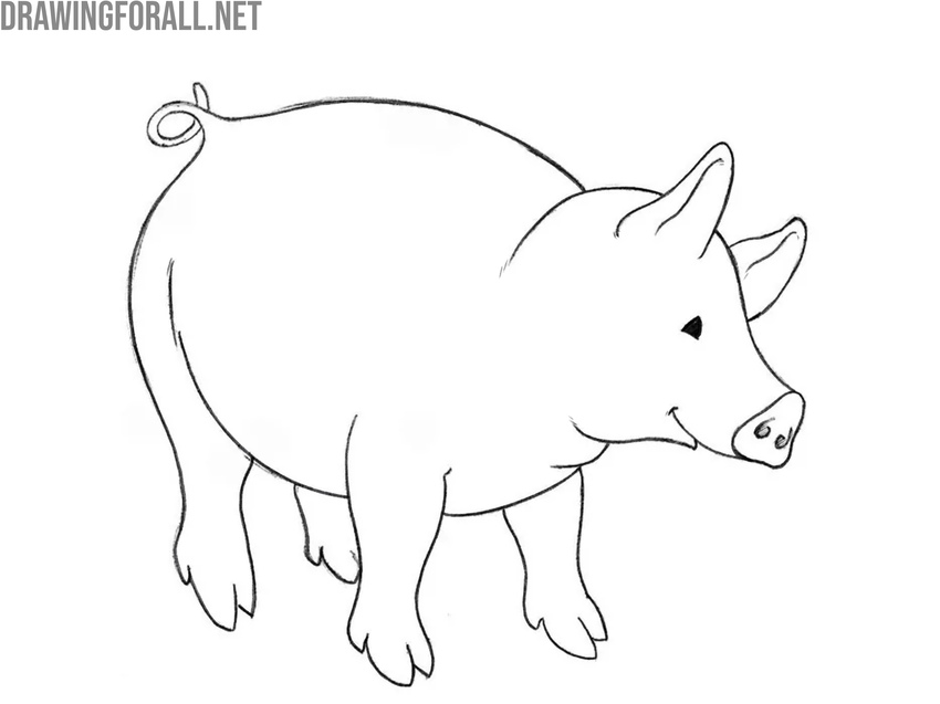 Outline the remaining parts of the pig
