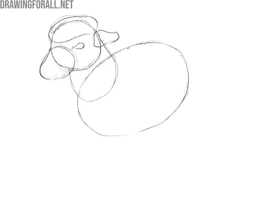 Draw the face of the cartoon sheep