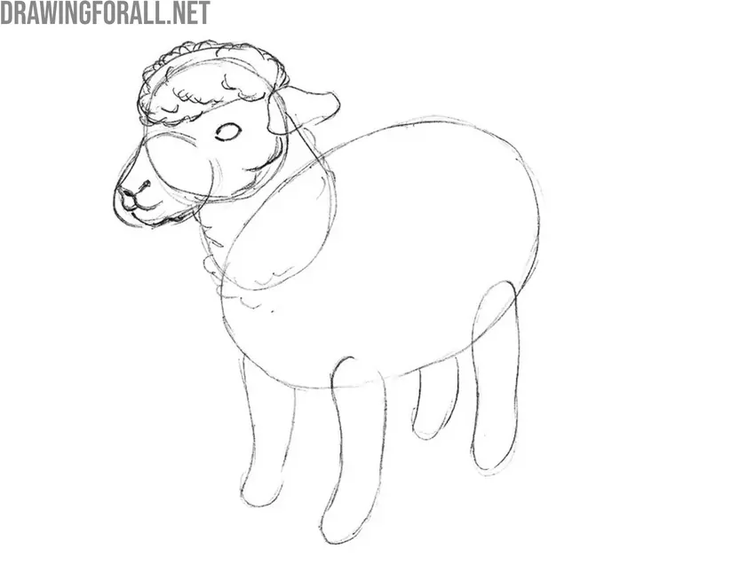 Sketch the wool texture and facial details