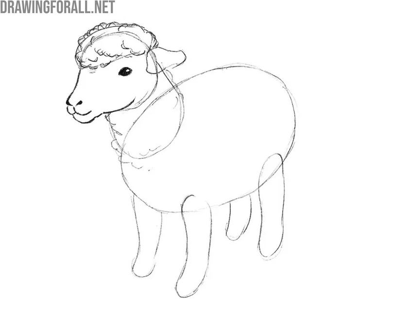 Outline and complete the face