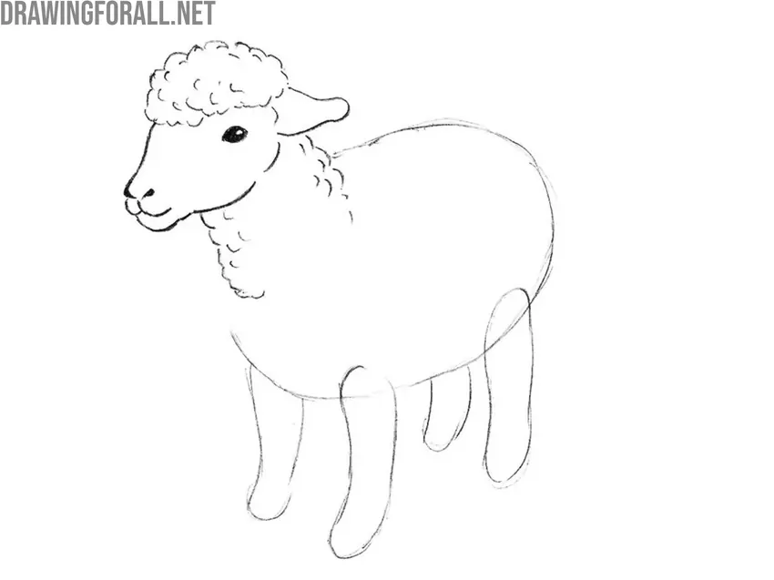 Refine the head and neck lines