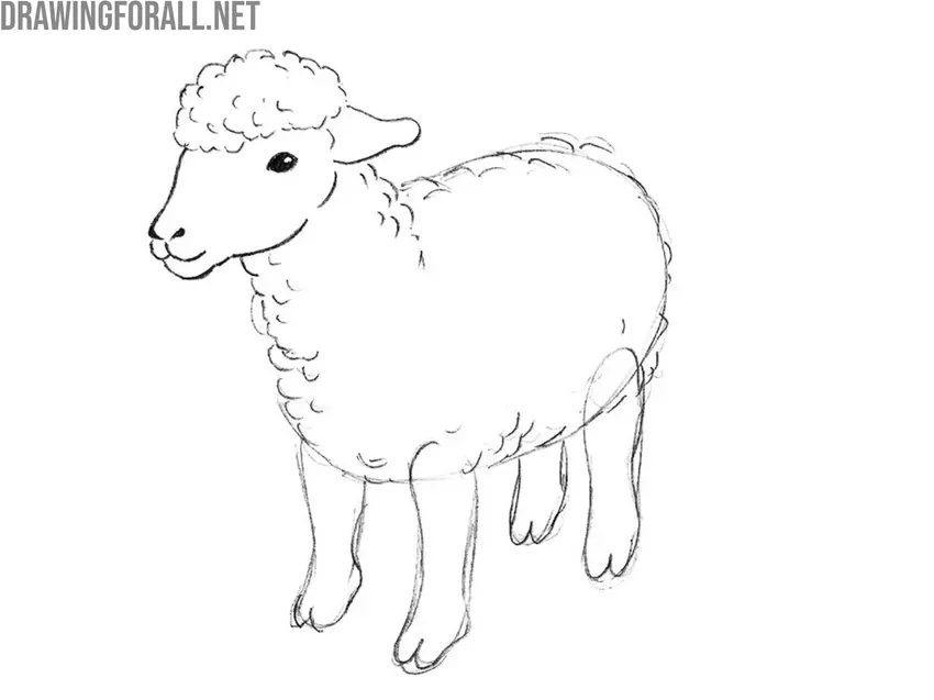 Draw the hooves of the cartoon sheep