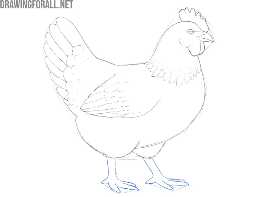 Detail the legs and claws